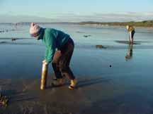 Diana showing her claming technique, friend Trish Kloth is in the background